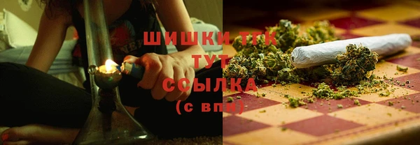 ГАЛЛЮЦИНОГЕННЫЕ ГРИБЫ Каменногорск
