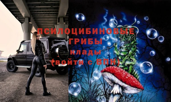 ГАЛЛЮЦИНОГЕННЫЕ ГРИБЫ Каменногорск